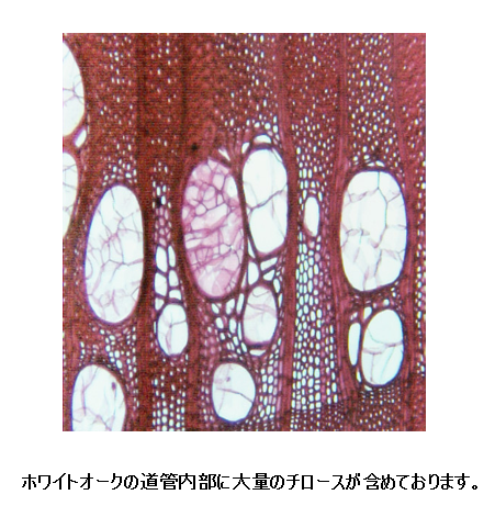 美橡木含有大量浸填体-日文.png